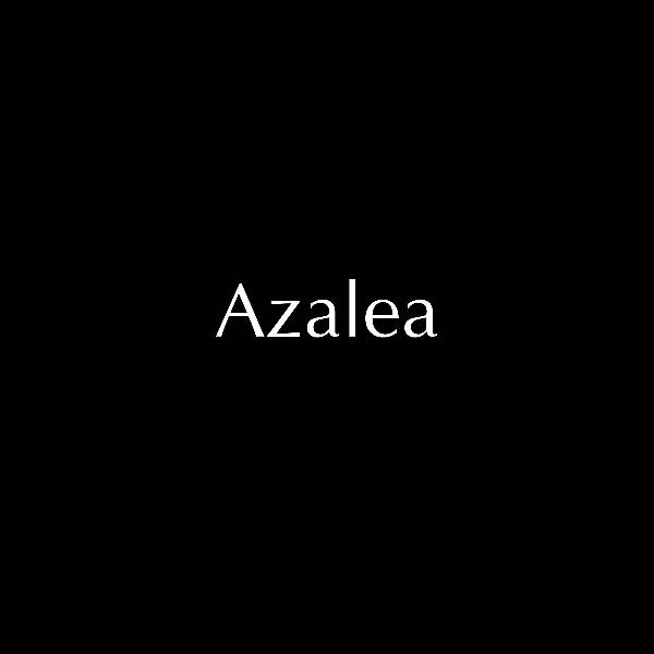 Azalea